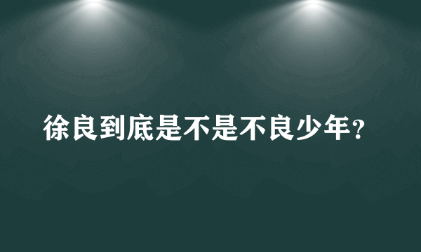 徐良到底是不是不良少年？