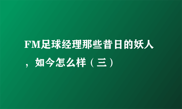 FM足球经理那些昔日的妖人，如今怎么样（三）