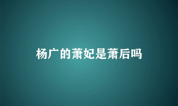 杨广的萧妃是萧后吗