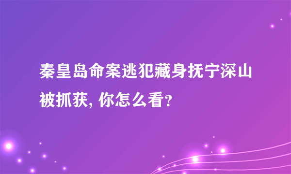 秦皇岛命案逃犯藏身抚宁深山被抓获, 你怎么看？