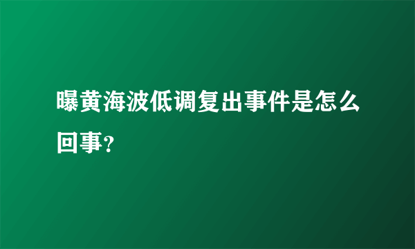 曝黄海波低调复出事件是怎么回事？