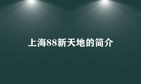 上海88新天地的简介