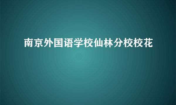 南京外国语学校仙林分校校花