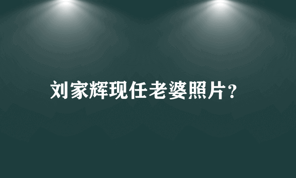 刘家辉现任老婆照片？