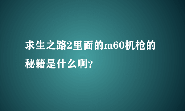 求生之路2里面的m60机枪的秘籍是什么啊？