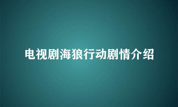 电视剧海狼行动剧情介绍