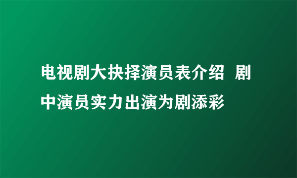 电视剧大抉择演员表介绍  剧中演员实力出演为剧添彩