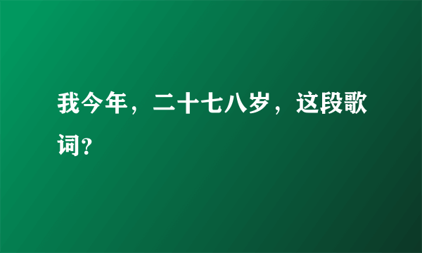 我今年，二十七八岁，这段歌词？