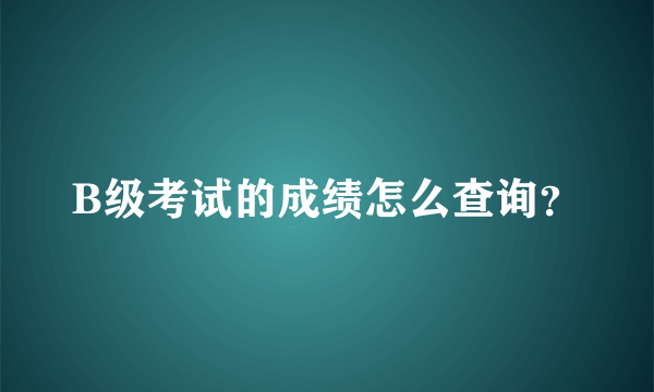 B级考试的成绩怎么查询？