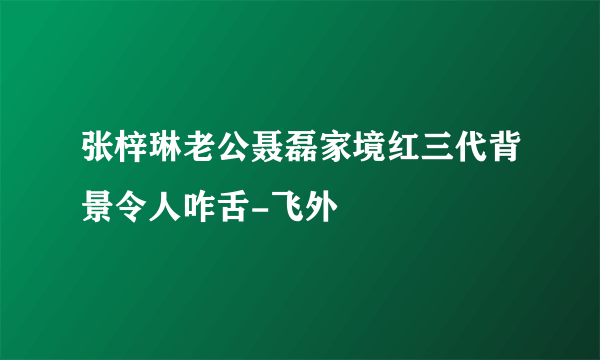 张梓琳老公聂磊家境红三代背景令人咋舌-飞外