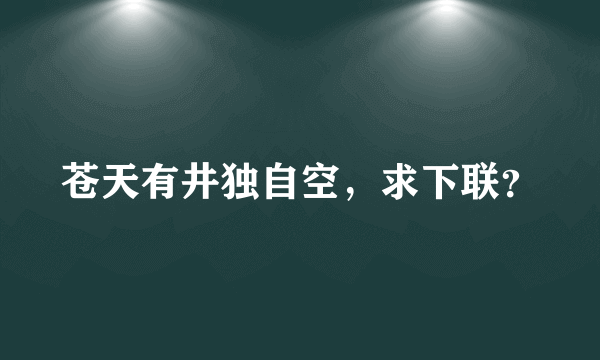 苍天有井独自空，求下联？