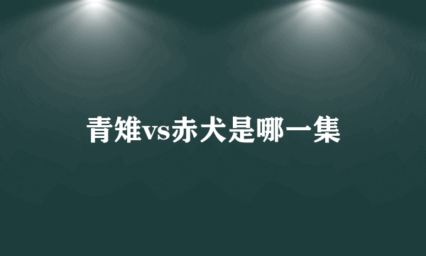 青雉vs赤犬是哪一集