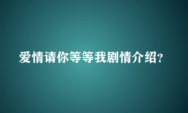 爱情请你等等我剧情介绍？