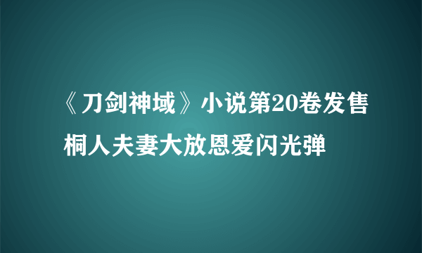 《刀剑神域》小说第20卷发售 桐人夫妻大放恩爱闪光弹