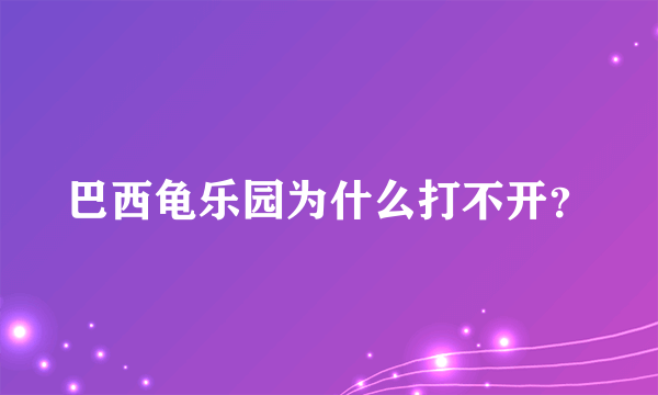 巴西龟乐园为什么打不开？