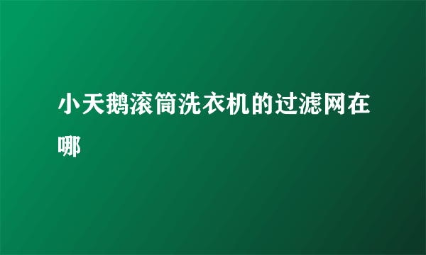 小天鹅滚筒洗衣机的过滤网在哪