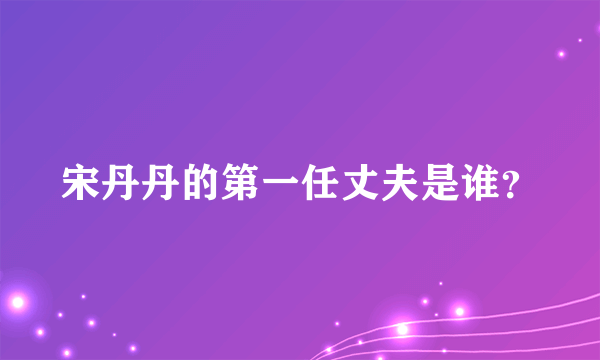 宋丹丹的第一任丈夫是谁？