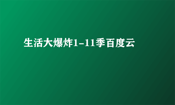 生活大爆炸1-11季百度云