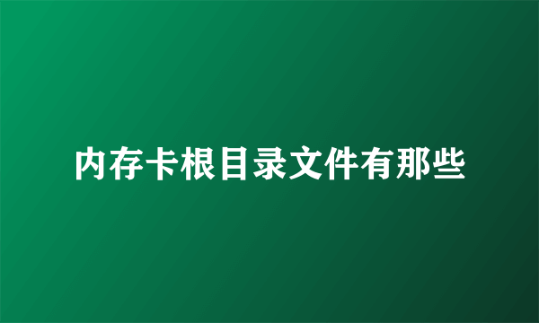 内存卡根目录文件有那些