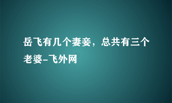 岳飞有几个妻妾，总共有三个老婆-飞外网