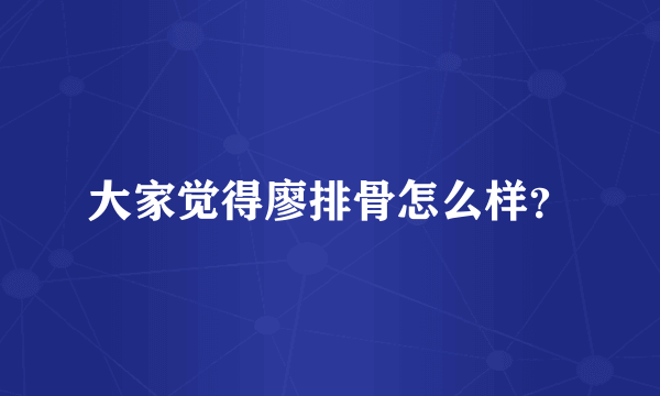 大家觉得廖排骨怎么样？