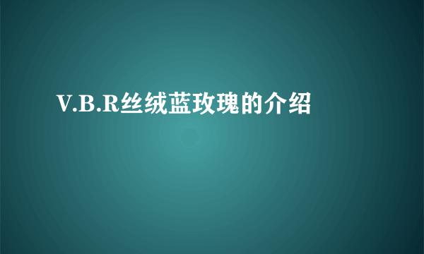 V.B.R丝绒蓝玫瑰的介绍