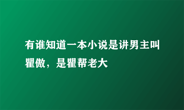 有谁知道一本小说是讲男主叫瞿傲，是瞿帮老大