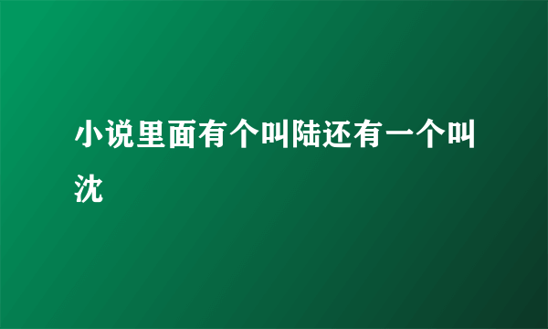 小说里面有个叫陆还有一个叫沈