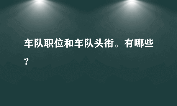 车队职位和车队头衔。有哪些？