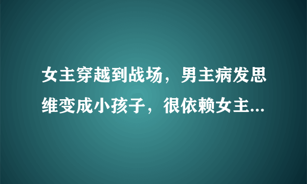 女主穿越到战场，男主病发思维变成小孩子，很依赖女主，男主腹黑，是皇上