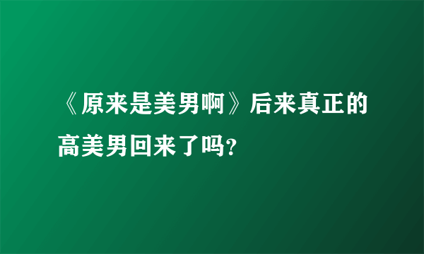 《原来是美男啊》后来真正的高美男回来了吗？