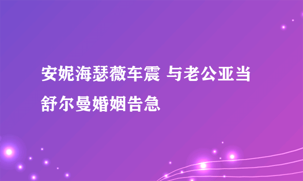 安妮海瑟薇车震 与老公亚当舒尔曼婚姻告急 