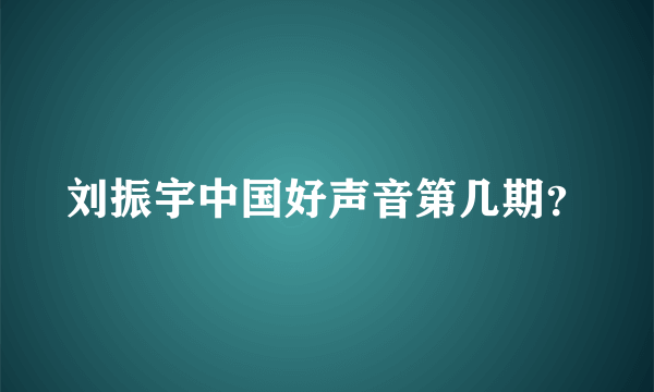 刘振宇中国好声音第几期？