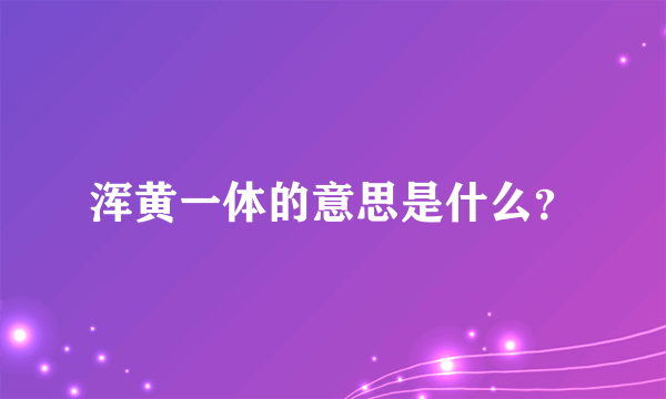 浑黄一体的意思是什么？