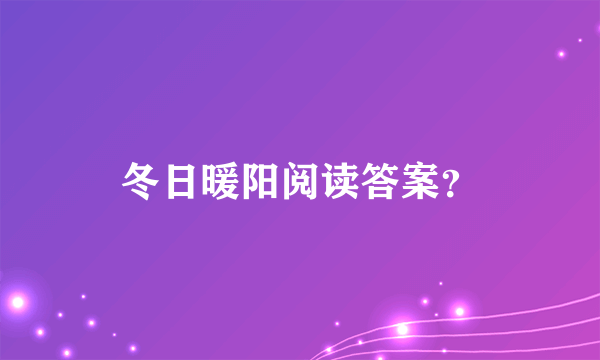 冬日暖阳阅读答案？