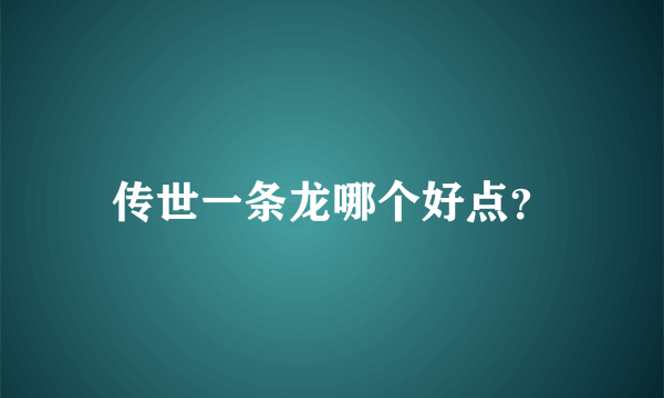 传世一条龙哪个好点？