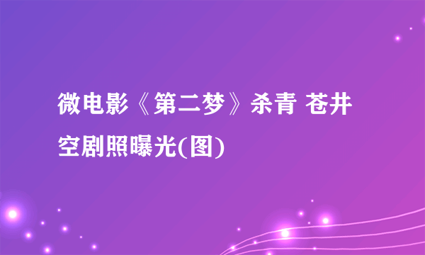 微电影《第二梦》杀青 苍井空剧照曝光(图)