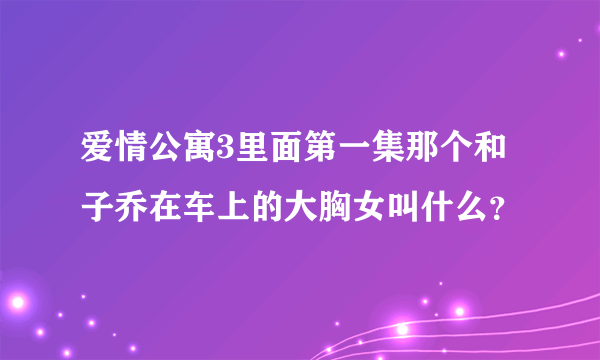 爱情公寓3里面第一集那个和子乔在车上的大胸女叫什么？