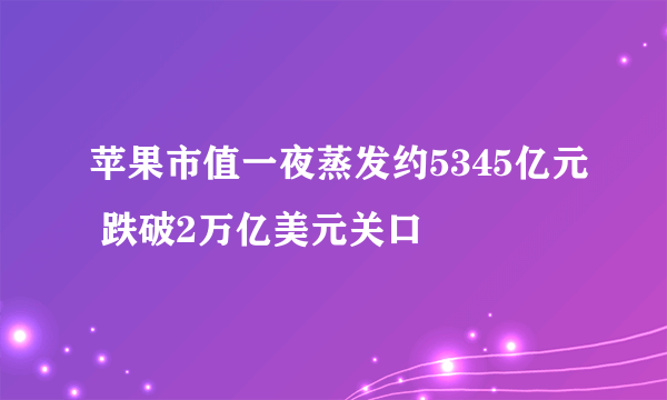 苹果市值一夜蒸发约5345亿元 跌破2万亿美元关口