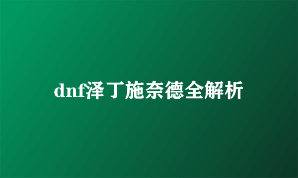 dnf泽丁施奈德全解析