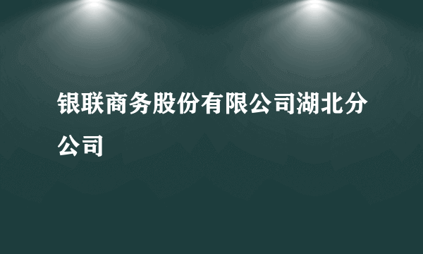 银联商务股份有限公司湖北分公司