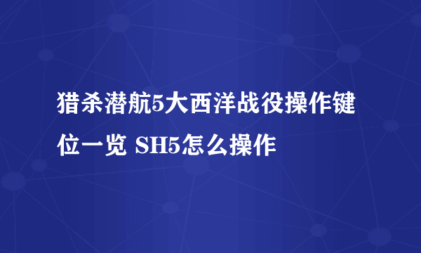 猎杀潜航5大西洋战役操作键位一览 SH5怎么操作