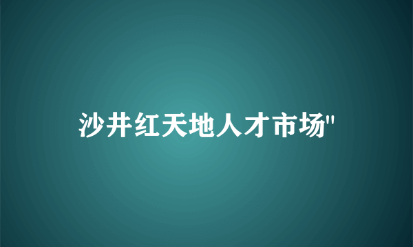 沙井红天地人才市场