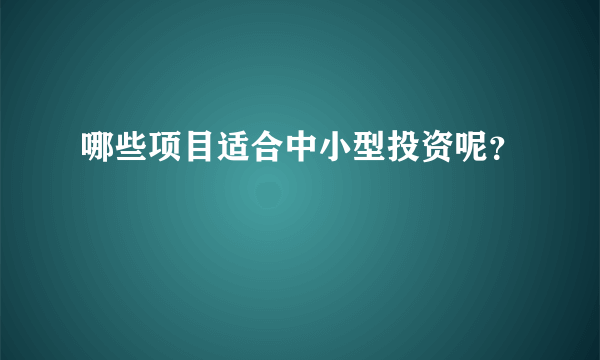 哪些项目适合中小型投资呢？