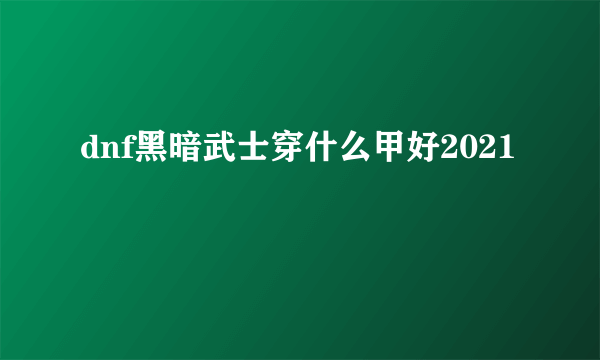 dnf黑暗武士穿什么甲好2021