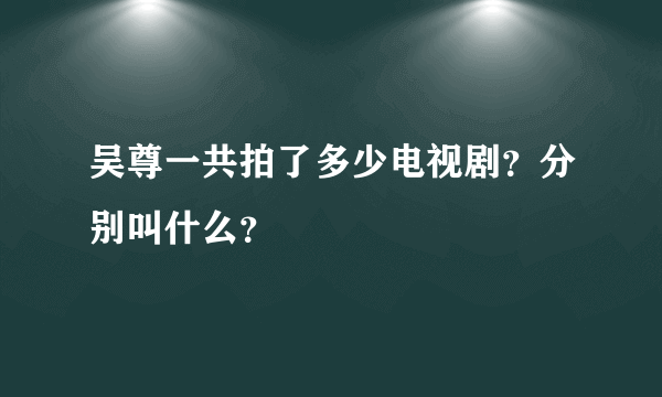 吴尊一共拍了多少电视剧？分别叫什么？