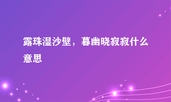 露珠湿沙壁，暮幽晓寂寂什么意思