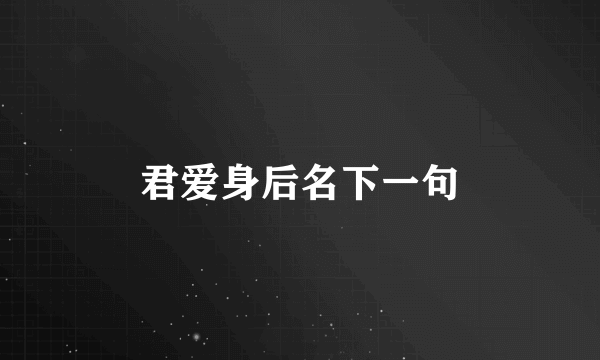 君爱身后名下一句