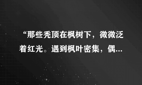 “那些秃顶在枫树下，微微泛着红光。遇到枫叶密集，偶尔有些空隙。”这段描写出自谁的小说？小说叫什么...