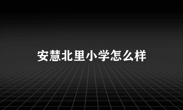 安慧北里小学怎么样